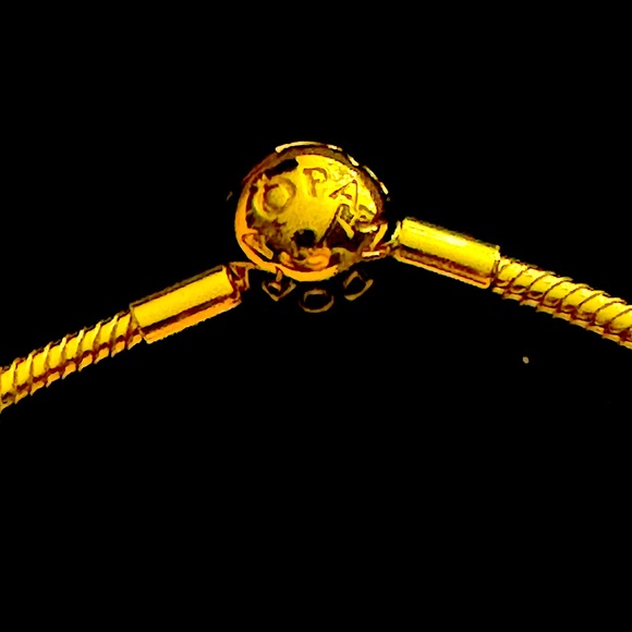 Pandora Moments 14k Rose gold plated snake chain bracelet - Picture 5 of 8